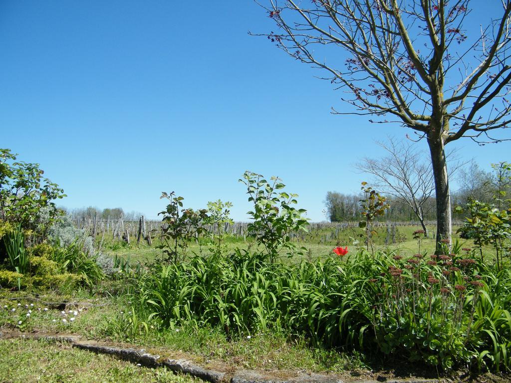 Clos Vieux Rochers Vineyard Puisseguin Exteriér fotografie