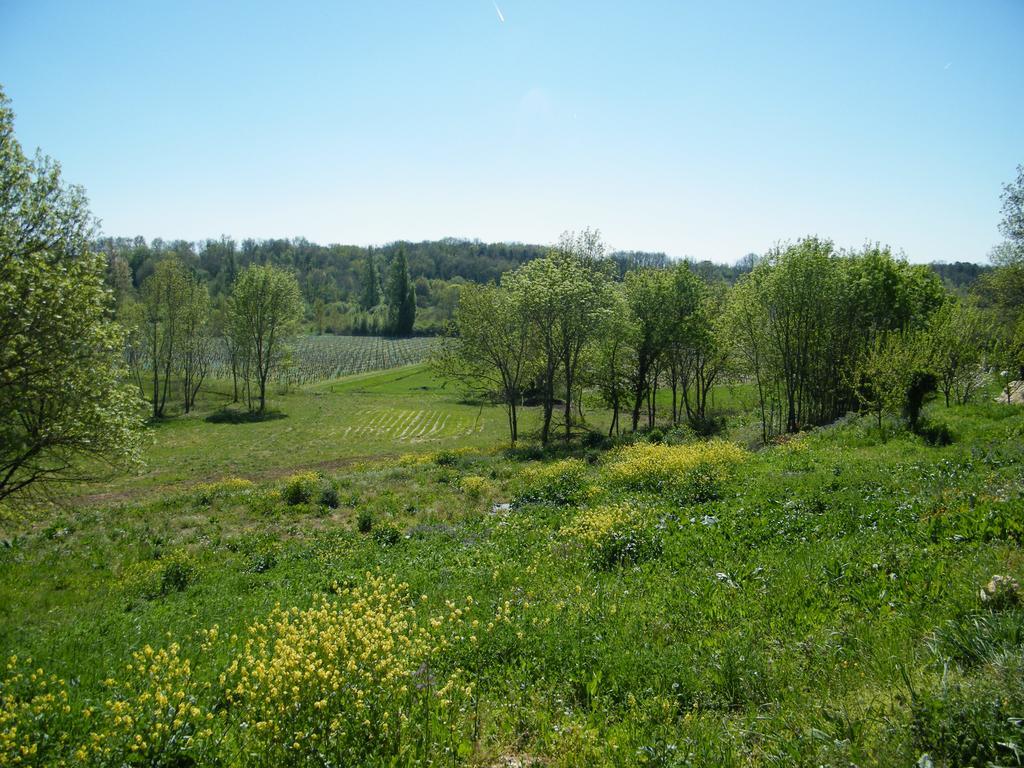 Clos Vieux Rochers Vineyard Puisseguin Exteriér fotografie