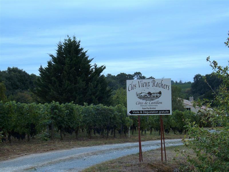 Clos Vieux Rochers Vineyard Puisseguin Exteriér fotografie
